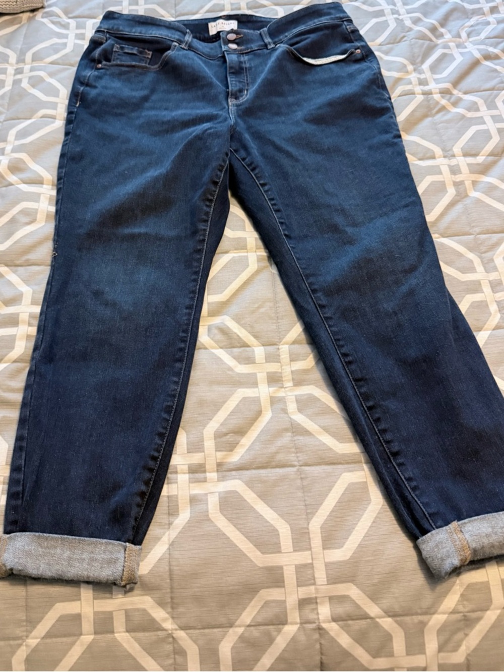 Lane Bryant Dark Blue Skinny Jeans
